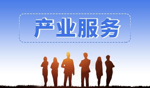 斯百德信息技術(shù)咨詢服務(wù) 專業(yè)智庫支持與產(chǎn)業(yè)項(xiàng)目對(duì)接